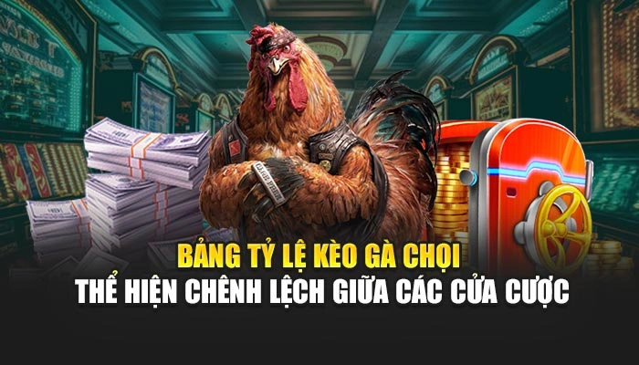 Bảng tỷ lệ kèo gà chọi thể hiện chênh lệch giữa các cửa cược
