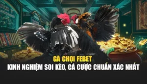 Gà Chọi FEBET – Kinh Nghiệm Soi Kèo, Cá Cược Chuẩn Xác Nhất