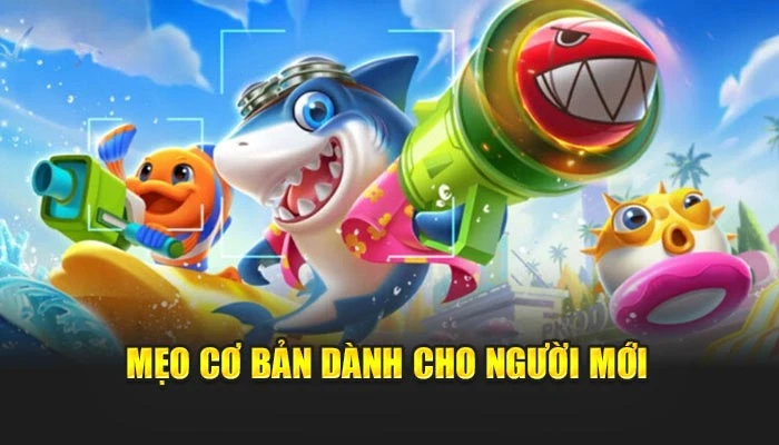 Mẹo cơ bản dành cho người mới